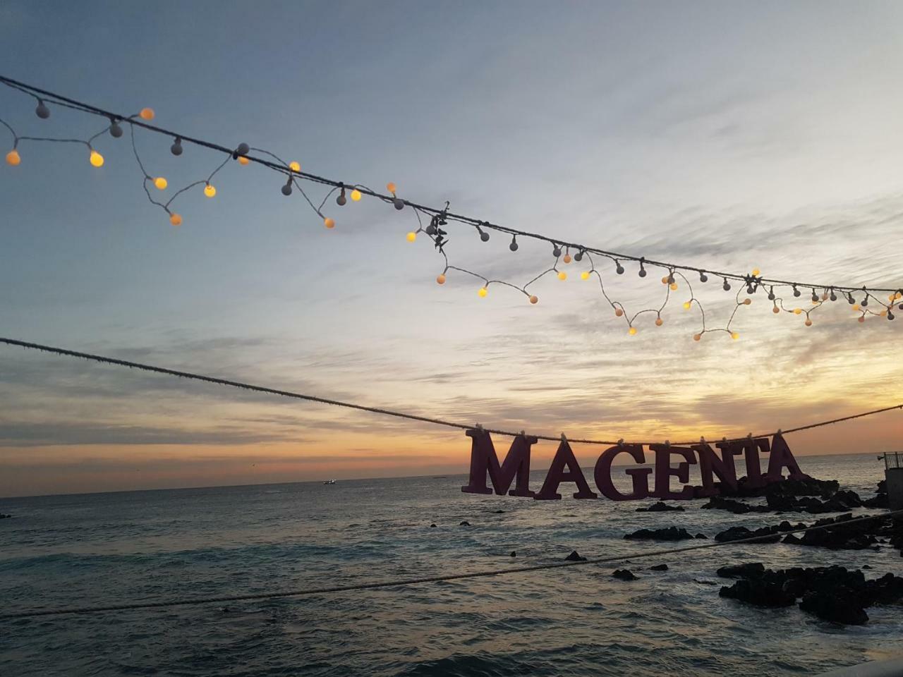 Magenta * Donghae